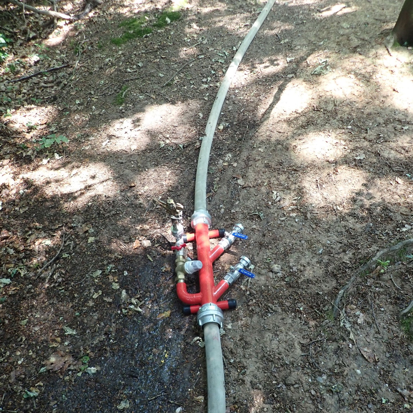 Euro forest fire distributor