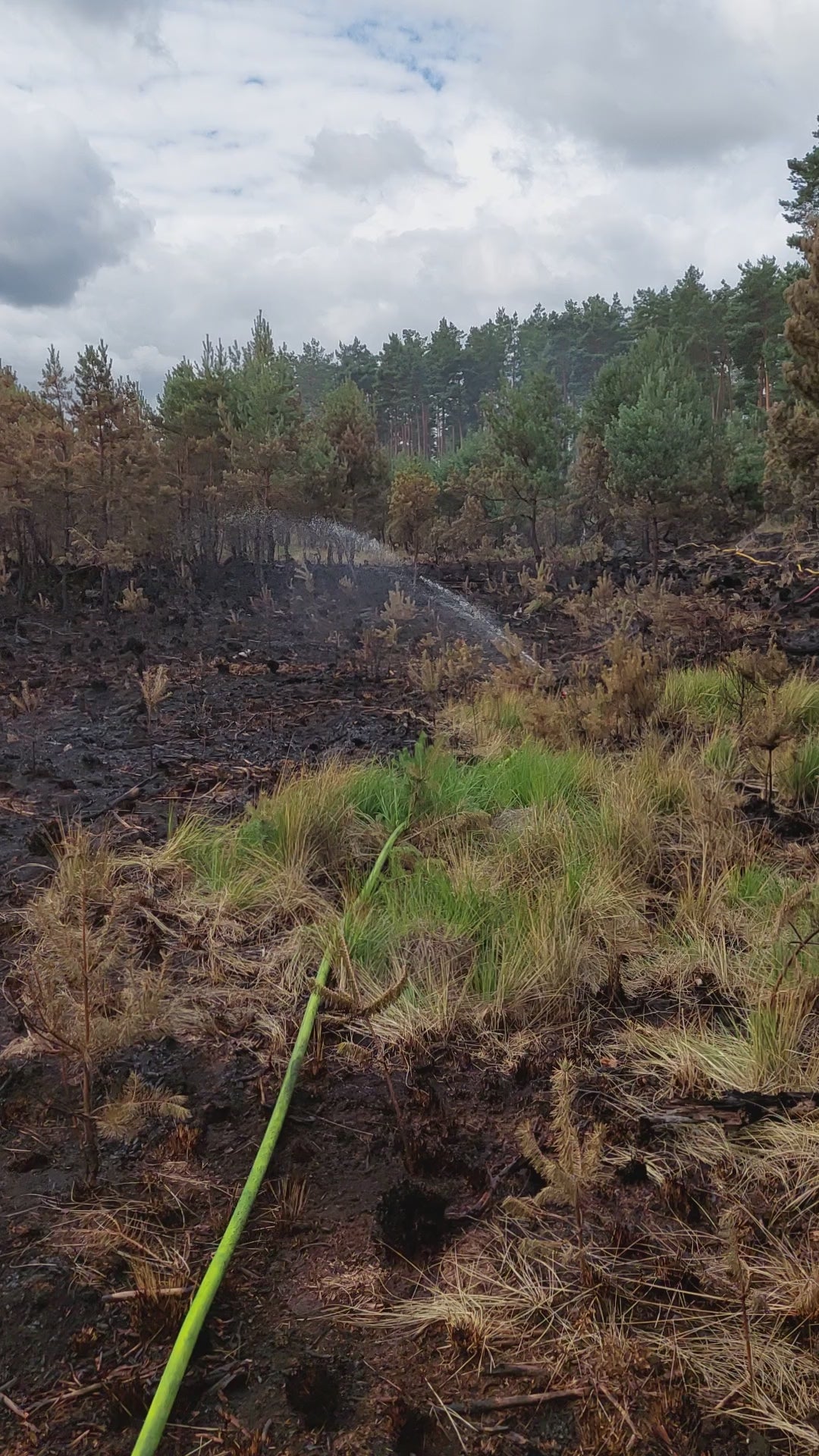 "Ein Waldbrandverteiler mit angeschlossenen Kreisregnern bewässert eine verbrannte Waldfläche. Die Regner verteilen Wasser gleichmäßig, um den Boden zu kühlen und die Regeneration der Vegetation zu unterstützen. Im Hintergrund sind verkohlte Baumstämme und verbrannter Boden sichtbar."