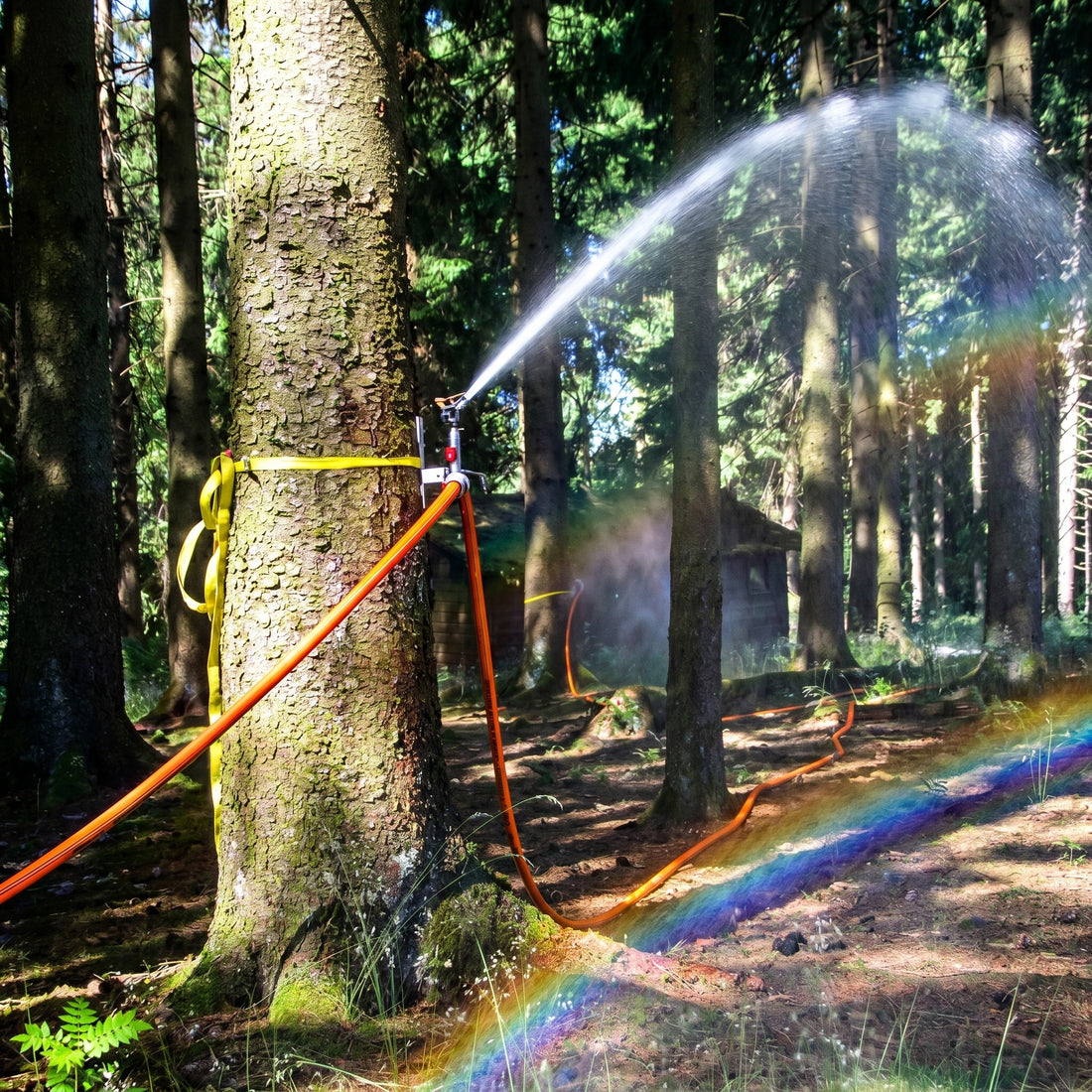 SnakE Kreisregner Gebäudeverteidigung/Vegetationsbrand Set - SnakE Kreisregner Gebäudeverteidigung Waldbrand