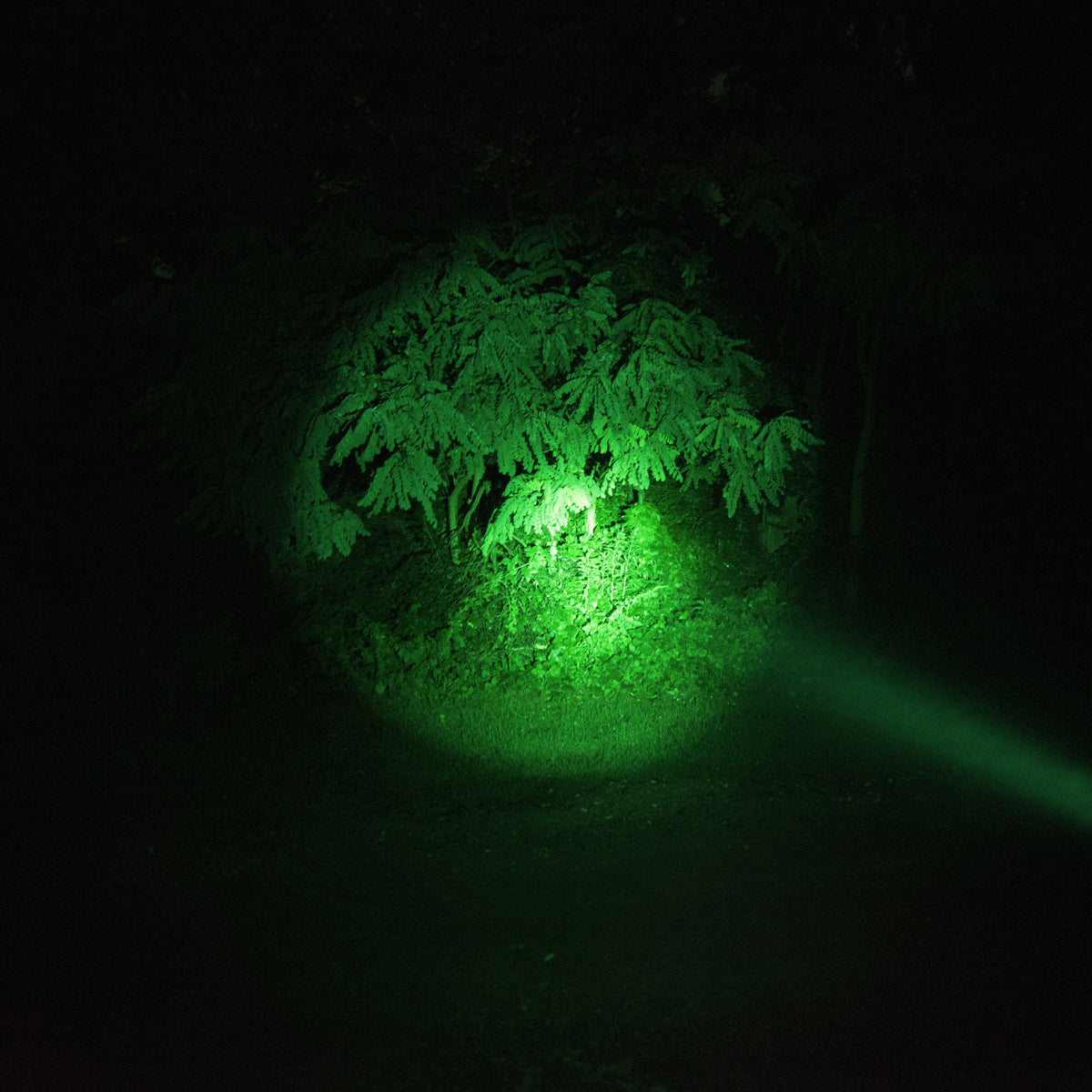 Mactronic Nomad 03 THL0022MN – Taktische Stirnlampe mit RGB-Filtern und NVG-Halterung, 340 lm, IP64 – Ansicht 10