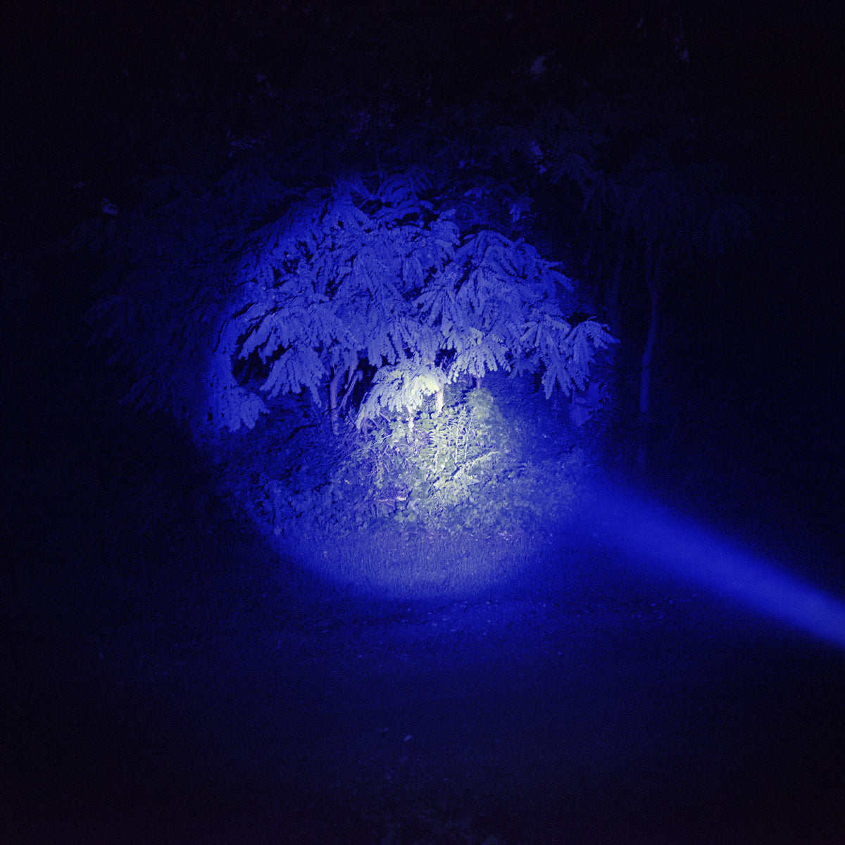 Mactronic Nomad 03 THL0022MN – Taktische Stirnlampe mit RGB-Filtern und NVG-Halterung, 340 lm, IP64 – Ansicht 11