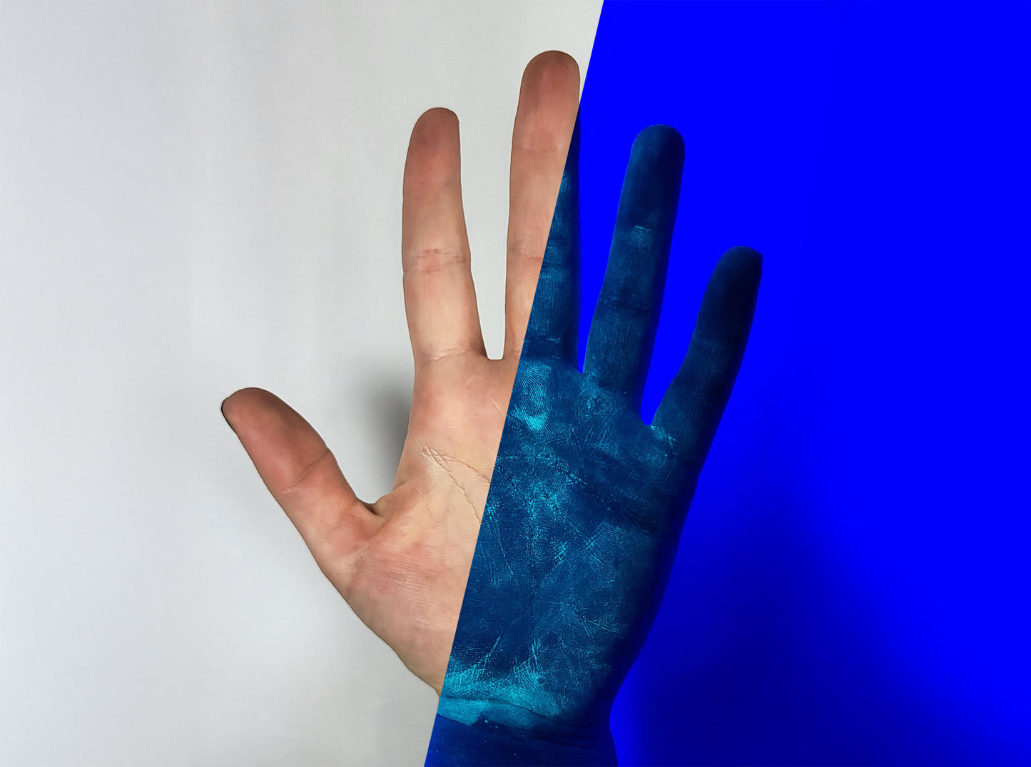 pak-ex – Die Nr. 1 gegen krebserregende PAK auf der Haut